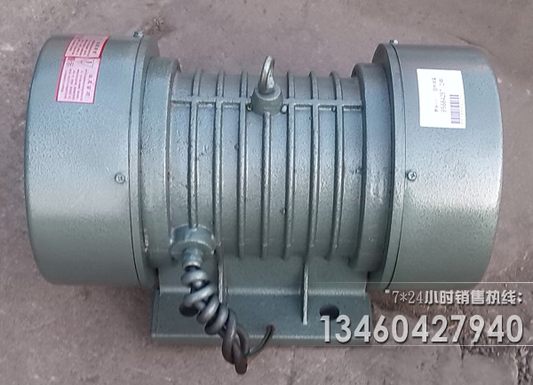 臥式振動電機(jī)圖片